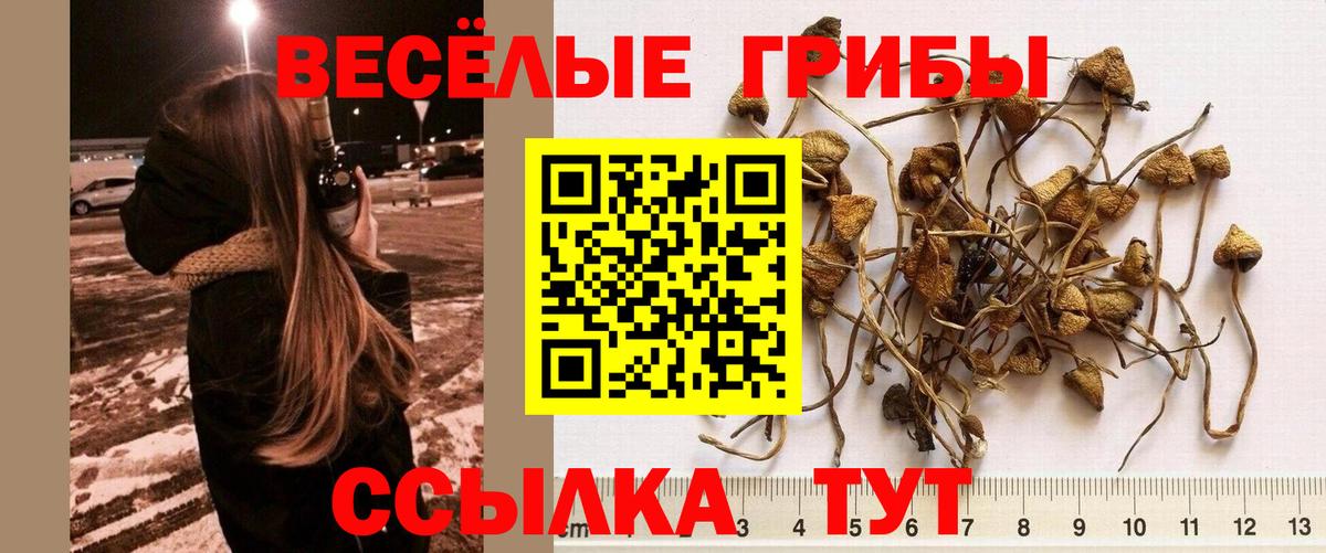 Псилоцибиновые грибы MAGIC MUSHROOMS Алапаевск